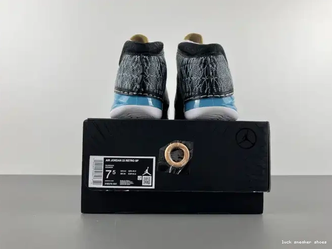 Reps LUCY UNC 318376-041 23 Jordan 0430